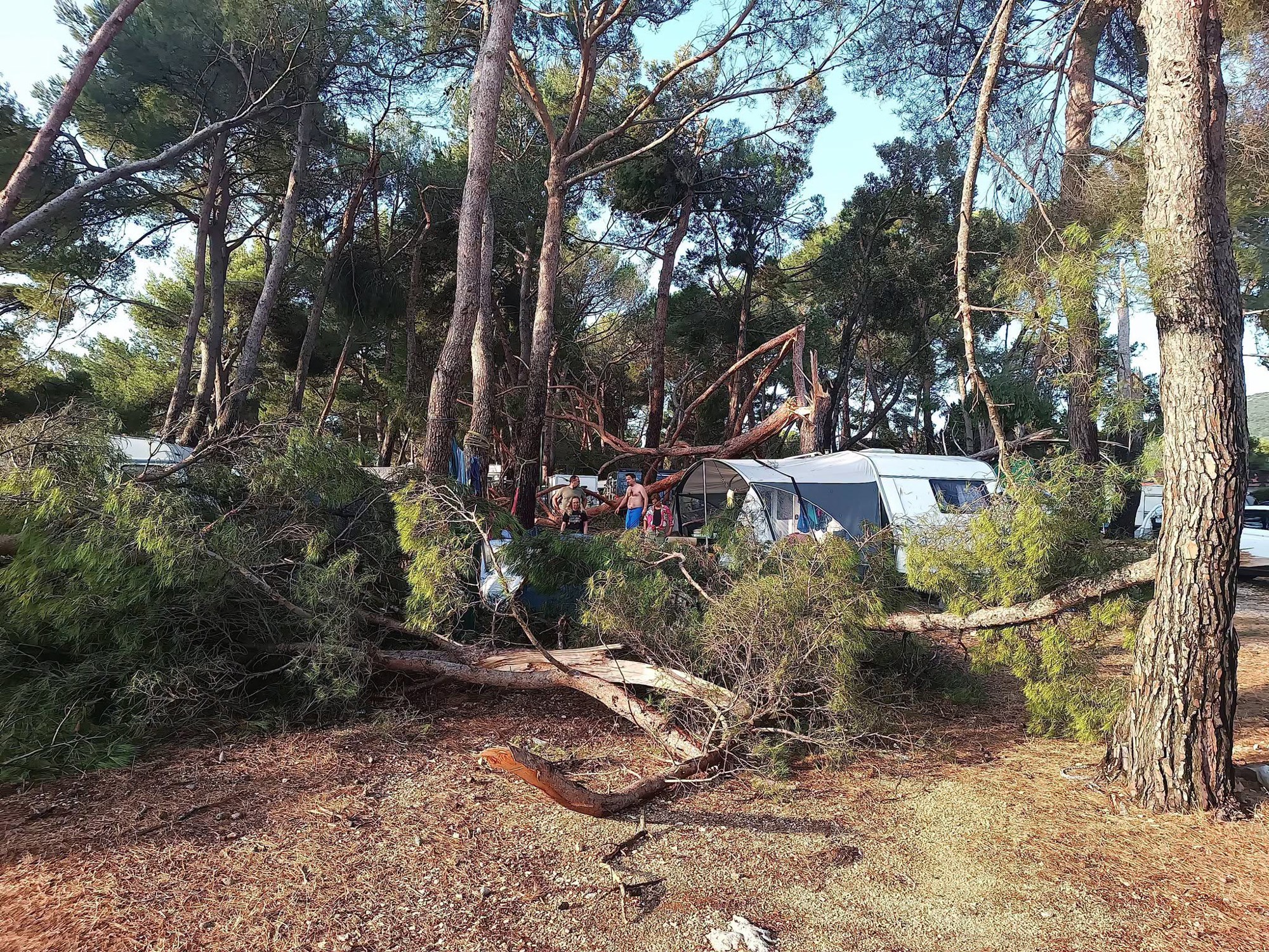 FOTO Pijavica počupala 50 borova u kampu na Lošinju. Golema šteta, dvoje ozlijeđenih