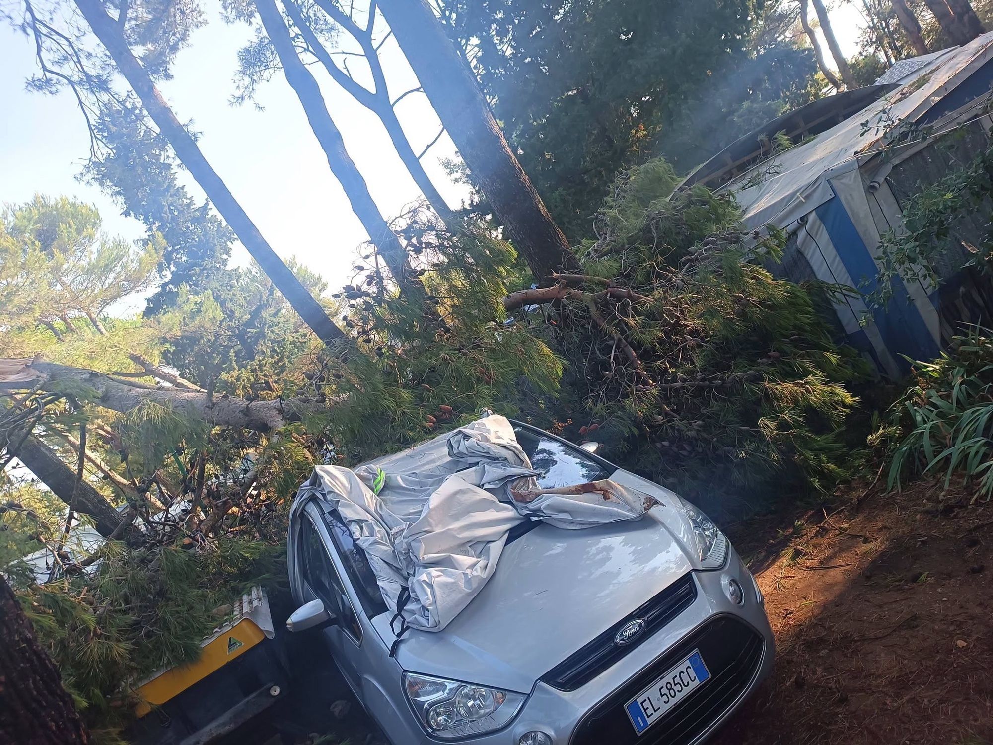 FOTO Pijavica počupala 50 borova u kampu na Lošinju. Golema šteta, dvoje ozlijeđenih