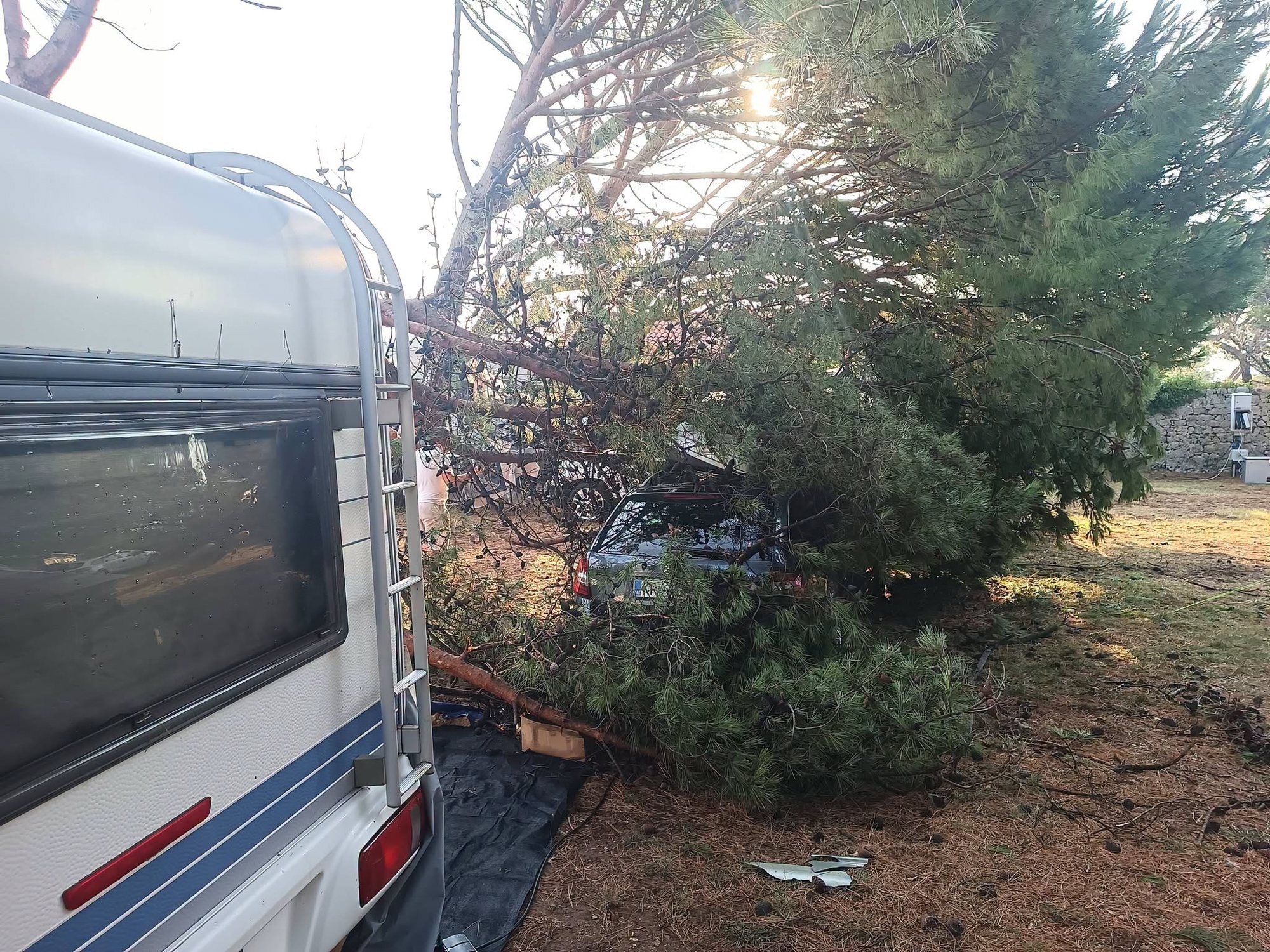 FOTO Pijavica počupala 50 borova u kampu na Lošinju. Golema šteta, dvoje ozlijeđenih