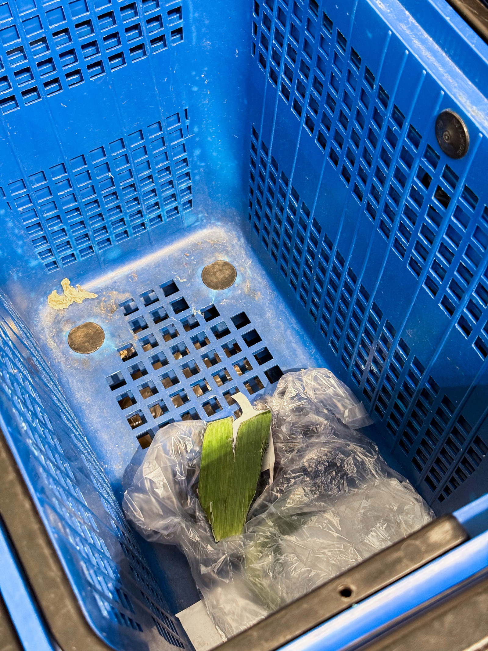 Lidl kod Z Centra
