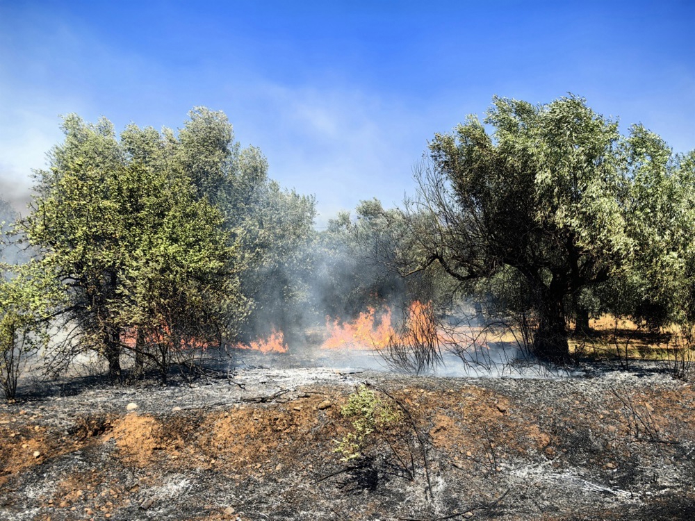 Gori diljem Grčke. Najnoviji požar izbio zapadno od Atene