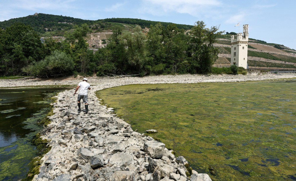 Rijeka Rajna