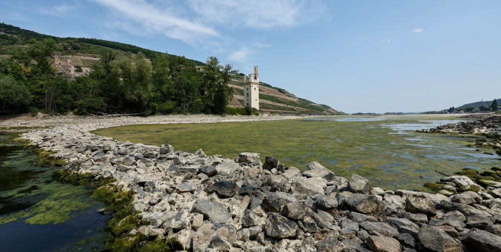 Rijeka Rajna