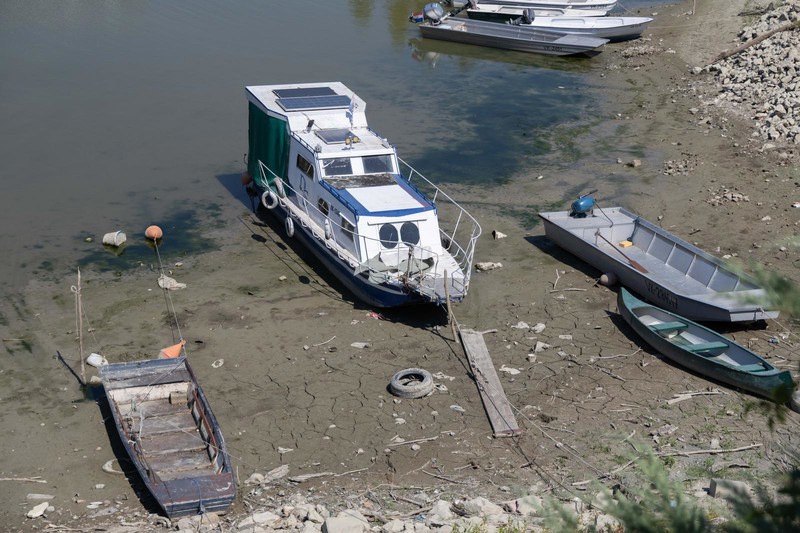 Nizak vodostaj Vuke