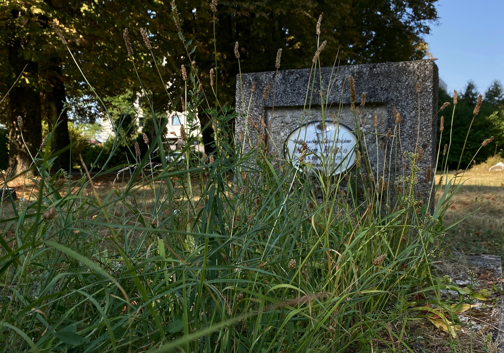 Zaboravljeno groblje u Vrapču. Posljednji ukop bio je prije gotovo pola stoljeća
