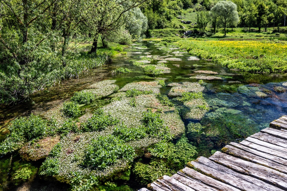 Ovo zatrpavaju smećem. Fotografije predivne Like