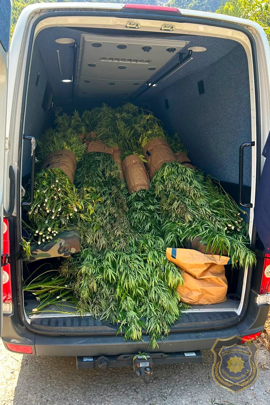 FOTO Policija kod Mostara otkrila 12 plantaža marihuane
