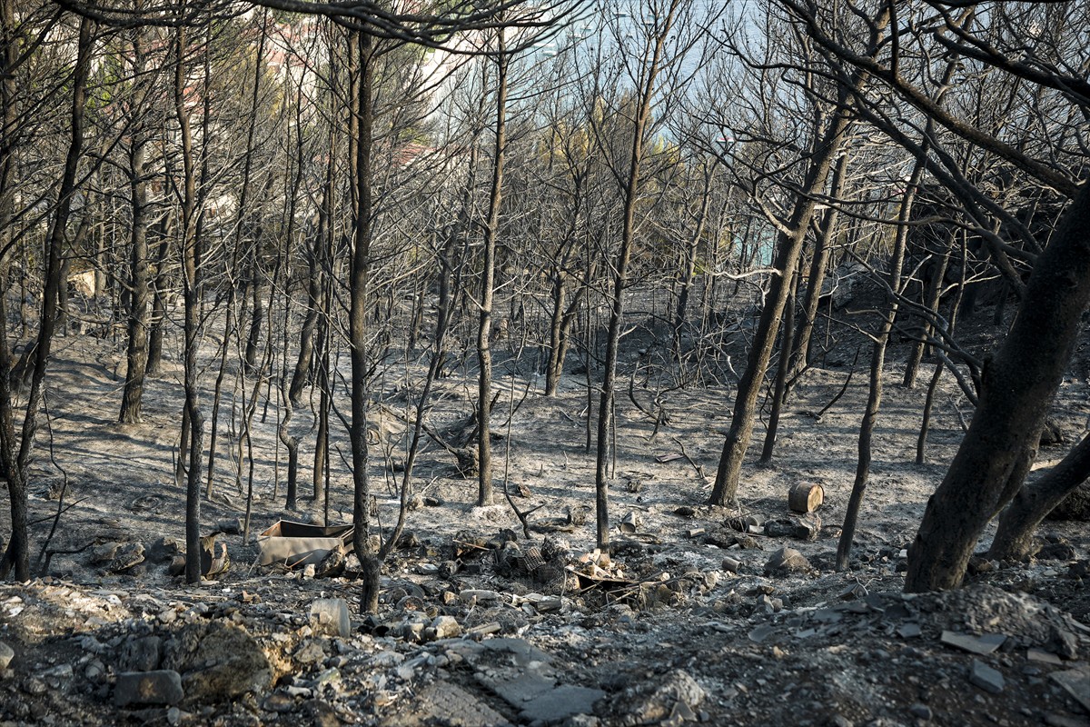 Slovenski vatrogasci pomažu u gašenju požara u Hrvatskoj