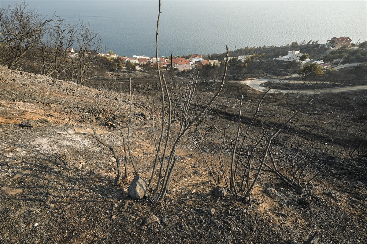 Slovenski vatrogasci pomažu u gašenju požara u Hrvatskoj