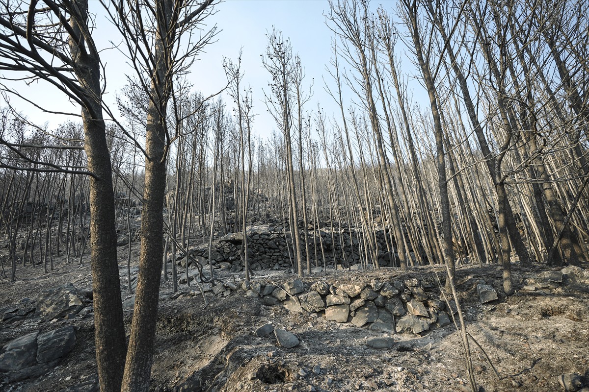 Slovenski vatrogasci pomažu u gašenju požara u Hrvatskoj