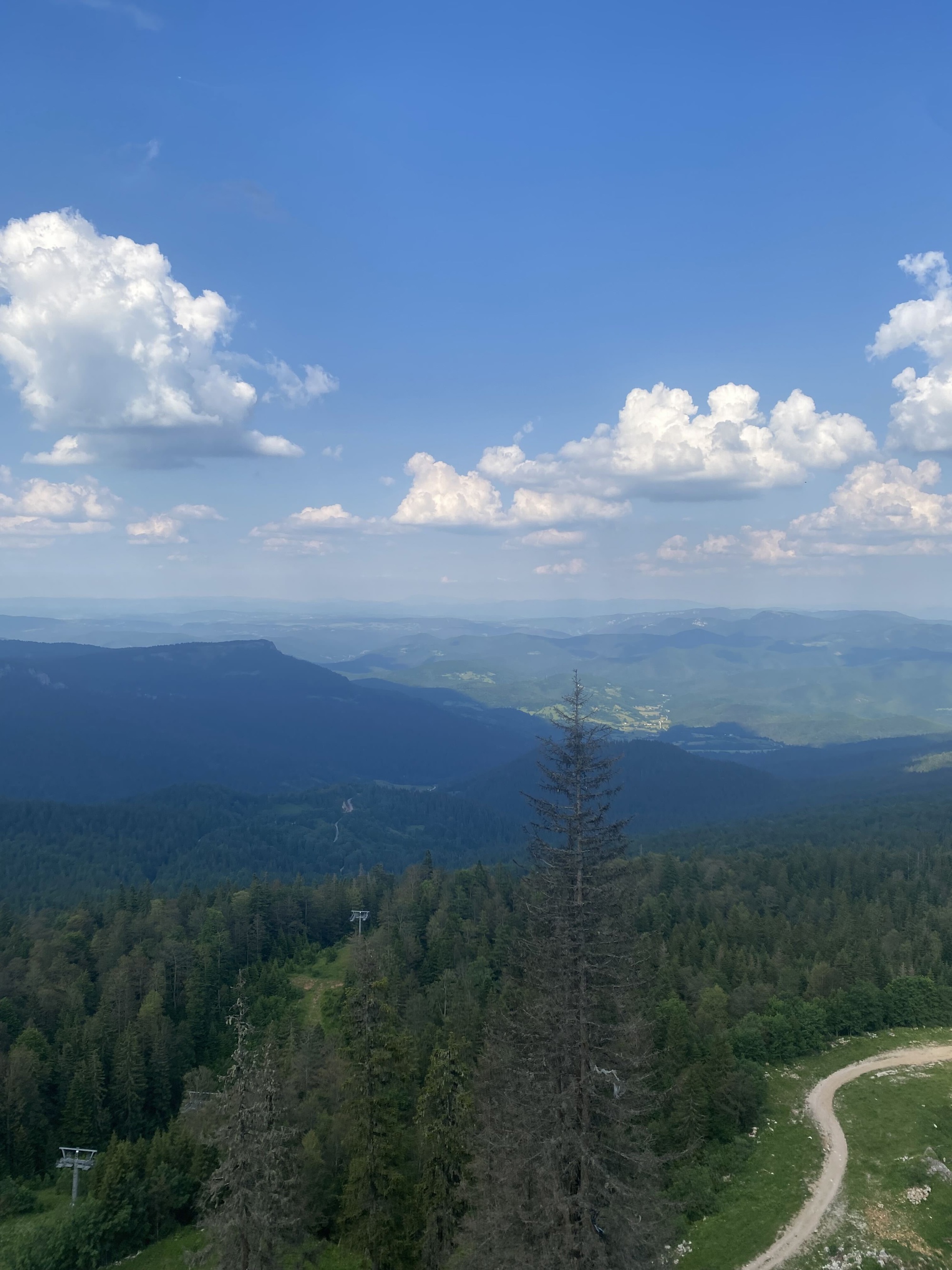 Kako mi je Jahorina ove godine ispala najbolje i najmirnije ljetovanje