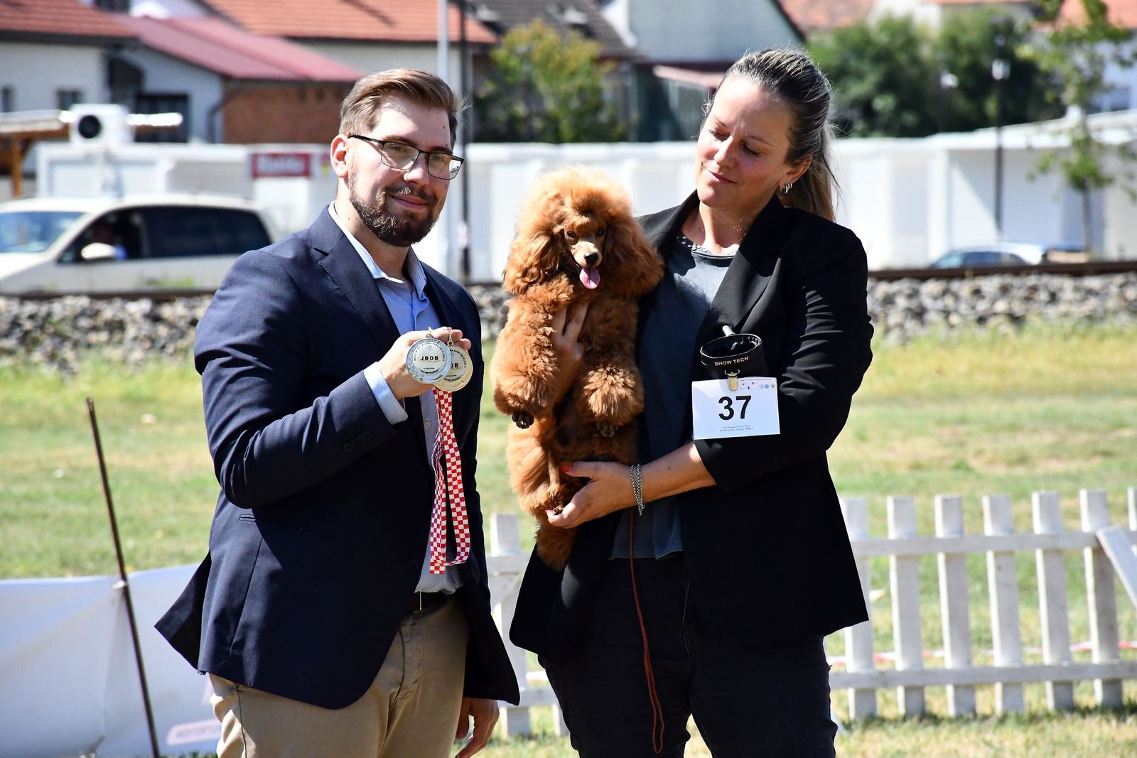 FOTO U Požegi održana Specijalna izložba pasa CAC-HR