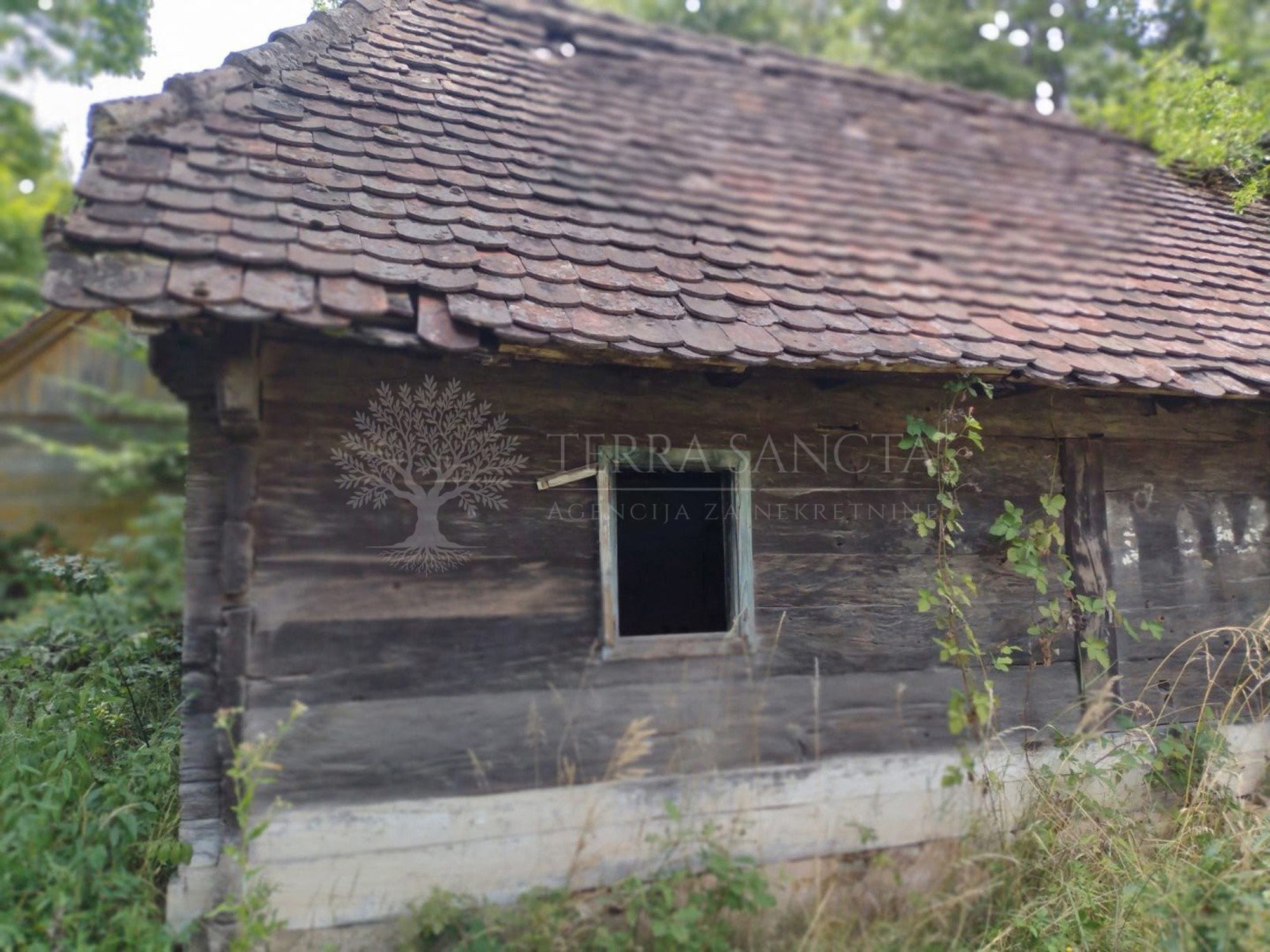 Dvije kuće, 17.000 m² zemlje i bez susjeda. Cijena je 29.000 €