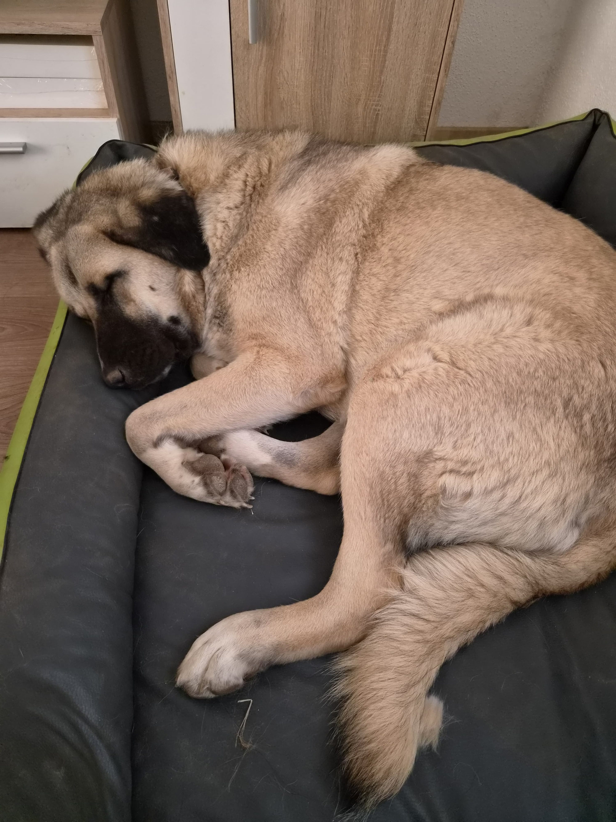 Curu su na ulici gađali kamenjem. Unatoč svemu, nije prestala vjerovati ljudima