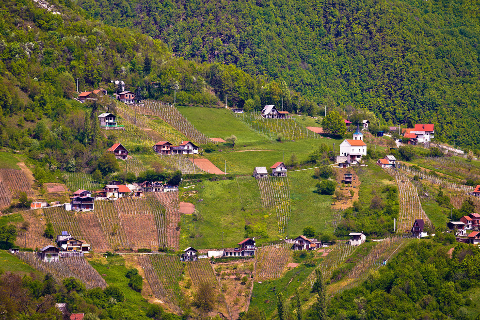 Plešivica