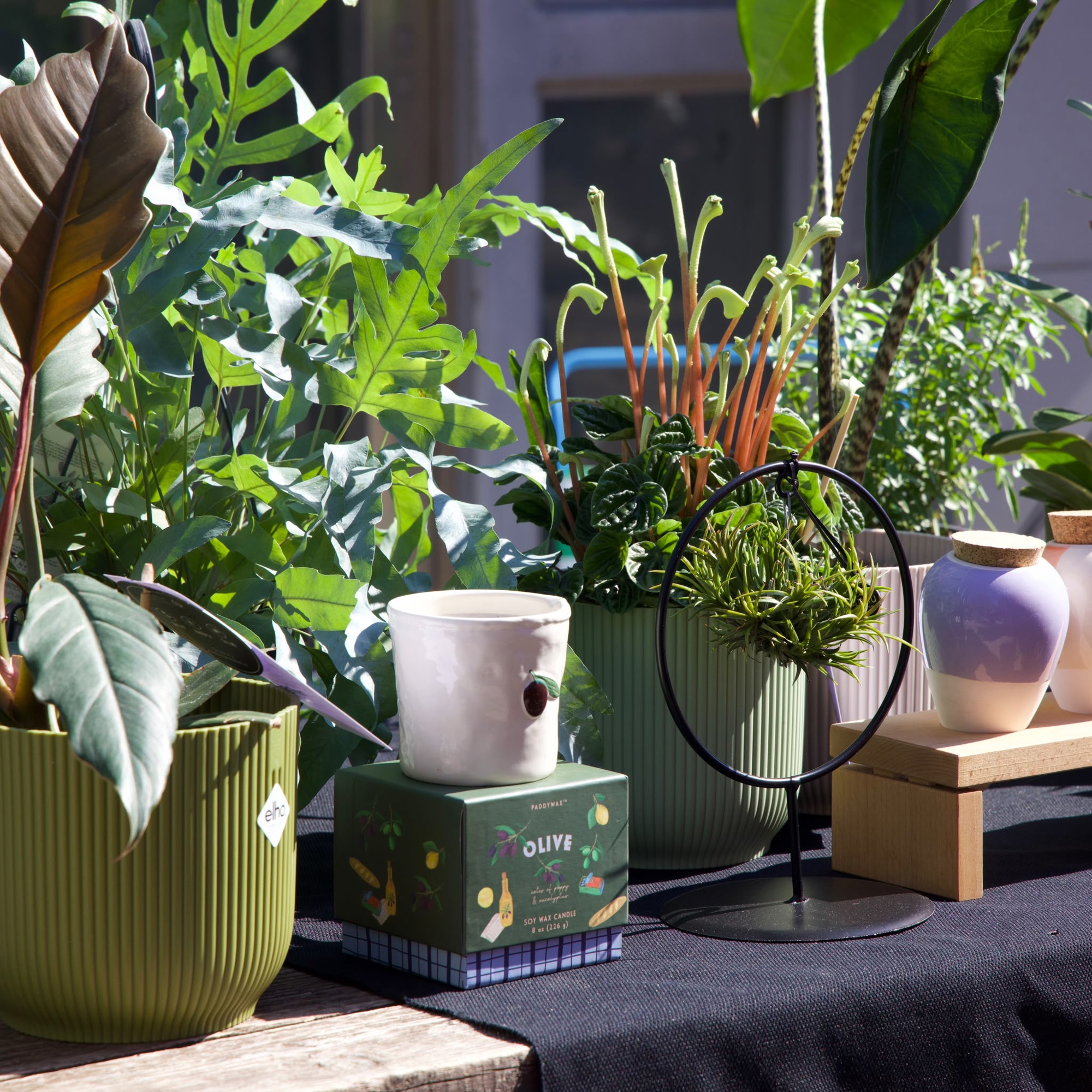 FOTO Na Branimirovoj tržnici održava se prva Weekendica, bili smo