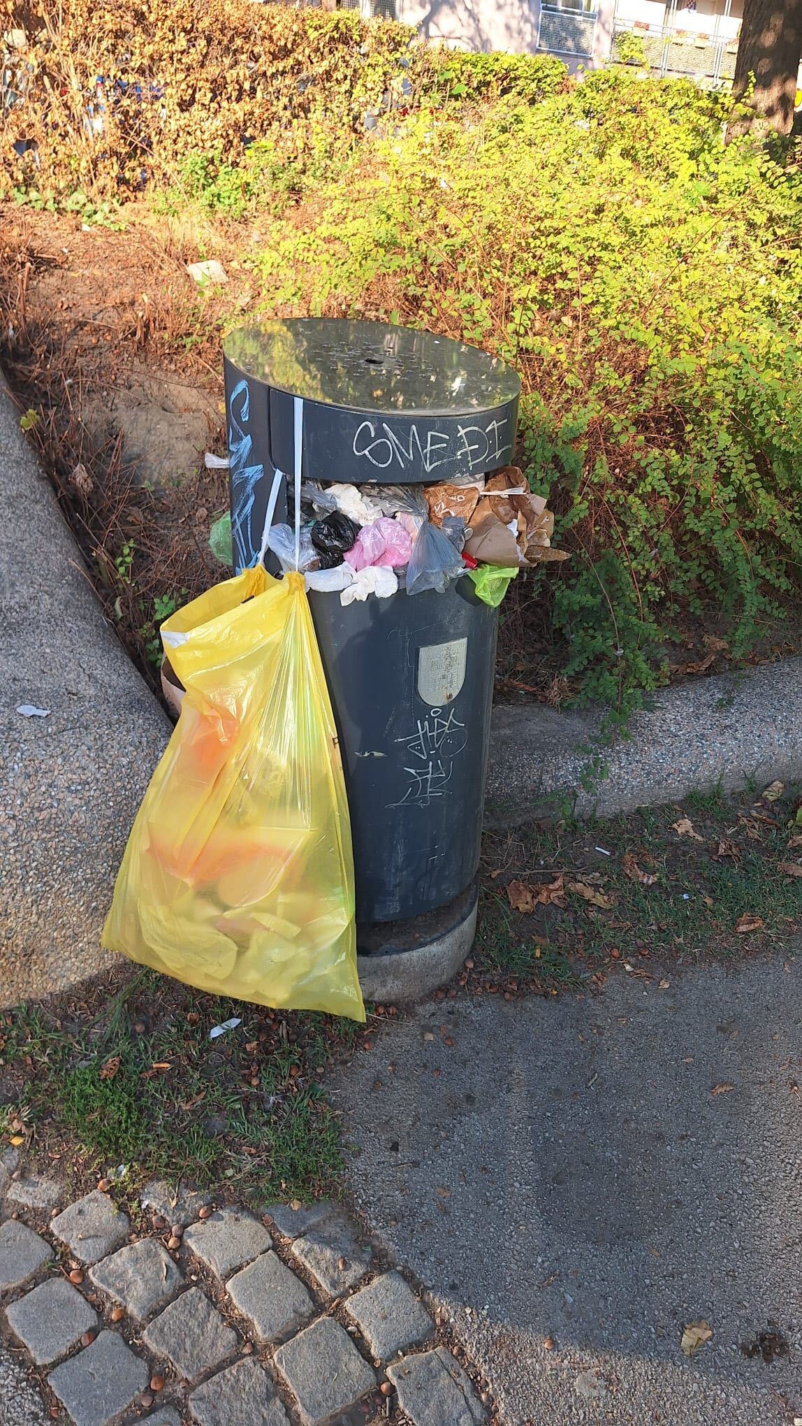 FOTO Smeće se gomila u zagrebačkom parku. Građani smislili privremeno rješenje