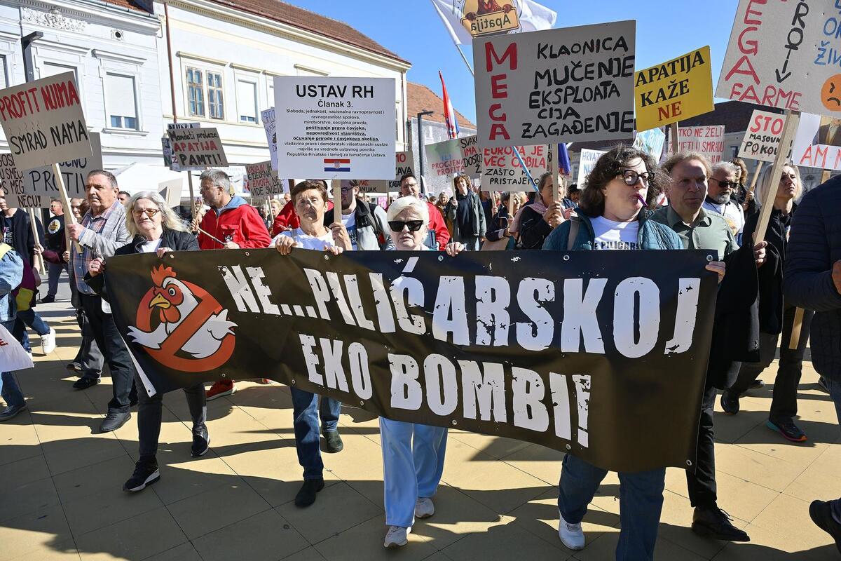 FOTO Prosvjed protiv megafarmi pilića u Koprivnici. Građani traže obustavu rada