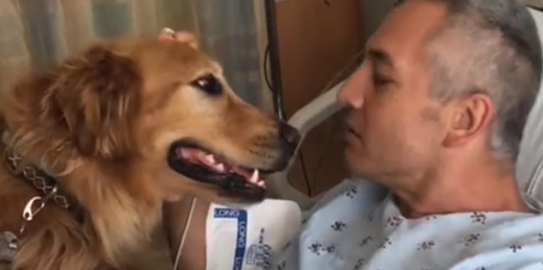 Pas je ugledao vlasnika nakon operacije i razveselio se kao nikada prije