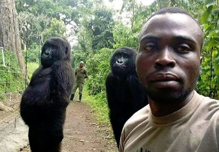 Rendžer objasnio kako je nastao ovaj genijalni viralni selfie s gorilama