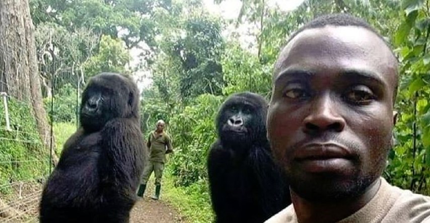 Rendžer objasnio kako je nastao ovaj genijalni viralni selfie s gorilama