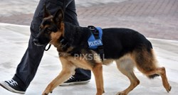 MUP nabavlja pse koji mogu zamijeniti do 30 policijskih službenika