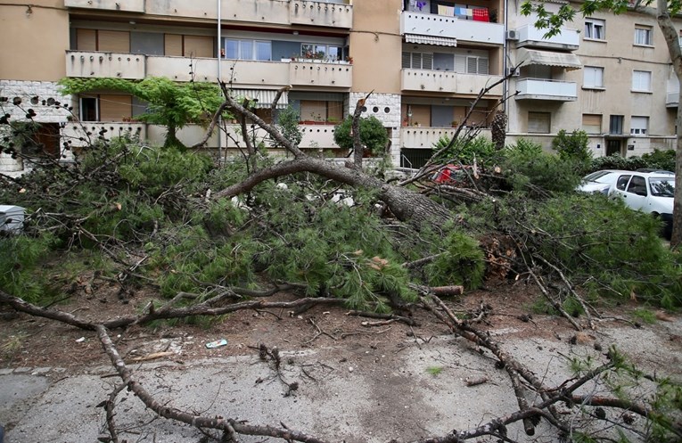 FOTO Stabla pala na pet automobila u Splitu i razbila ih