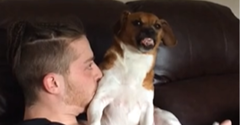 Ovaj pas ima urnebesnu reakciju na golicanje kojom će vam uljepšati dan