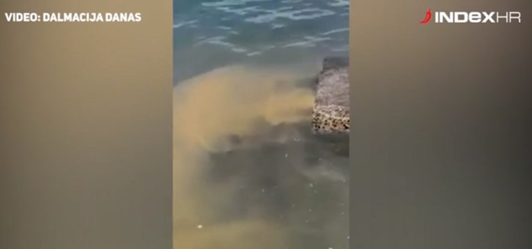 VIDEO Govna plutaju u moru u Kaštelima usred sezone
