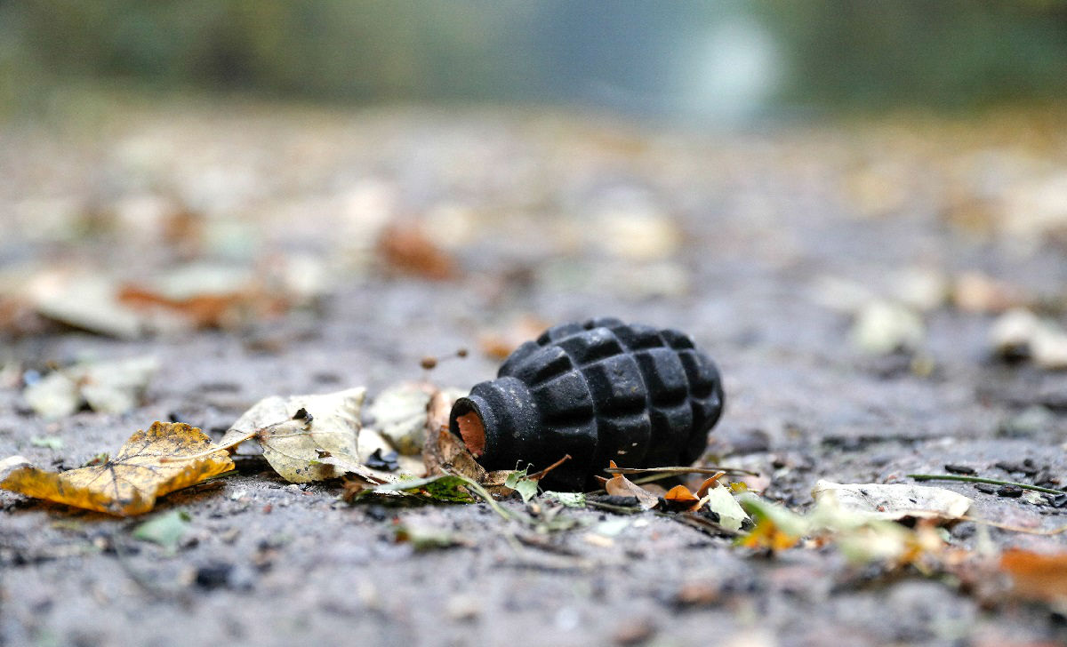 U Puli šetao psa pa pronašao granatu iz Drugog svjetskog rata