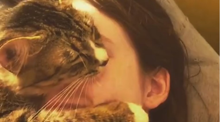 VIDEO Ova maca ne želi prestati grliti svoju vlasnicu