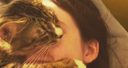 VIDEO Ova maca ne želi prestati grliti svoju vlasnicu