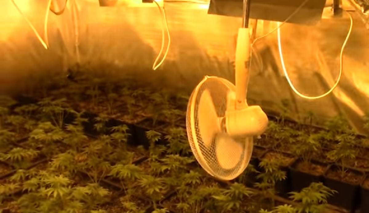 Ovako izgledaju narkolaboratoriji "dilera s estrade", policija objavila snimku