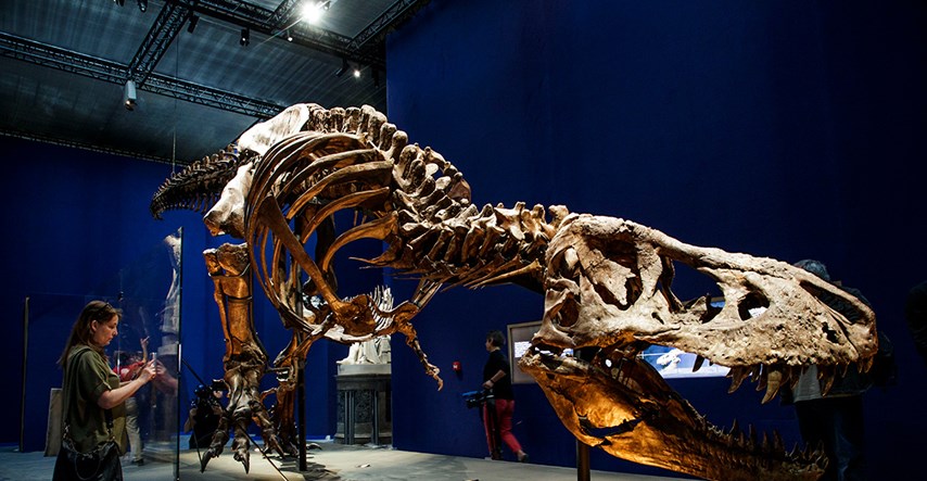 Studija: Tiranosaur rex nije mogao isplaziti jezik