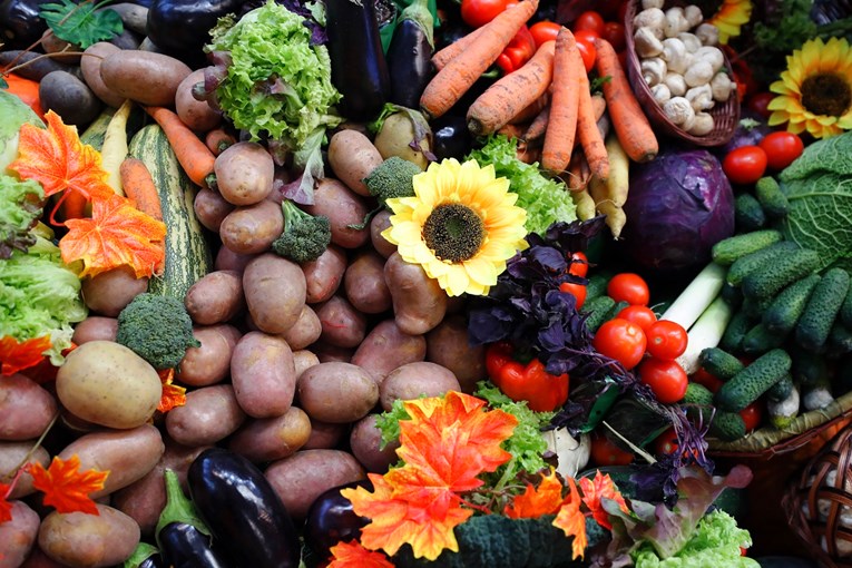 Novo istraživanje: Redovito konzumiranje voća i povrća pomaže mozgu