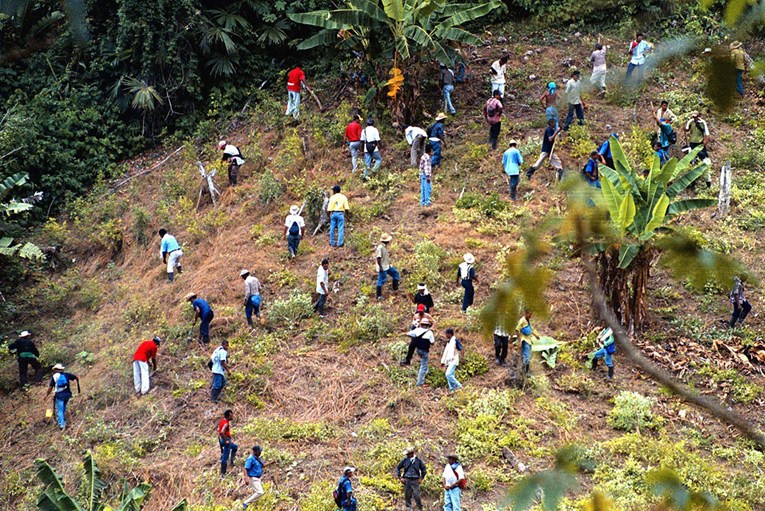 U 2017. rekordna proizvodnja kokaina u Kolumbiji