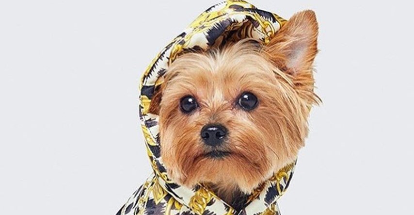 Moschino i H&M izbacili pret-a-porter kolekciju za pse