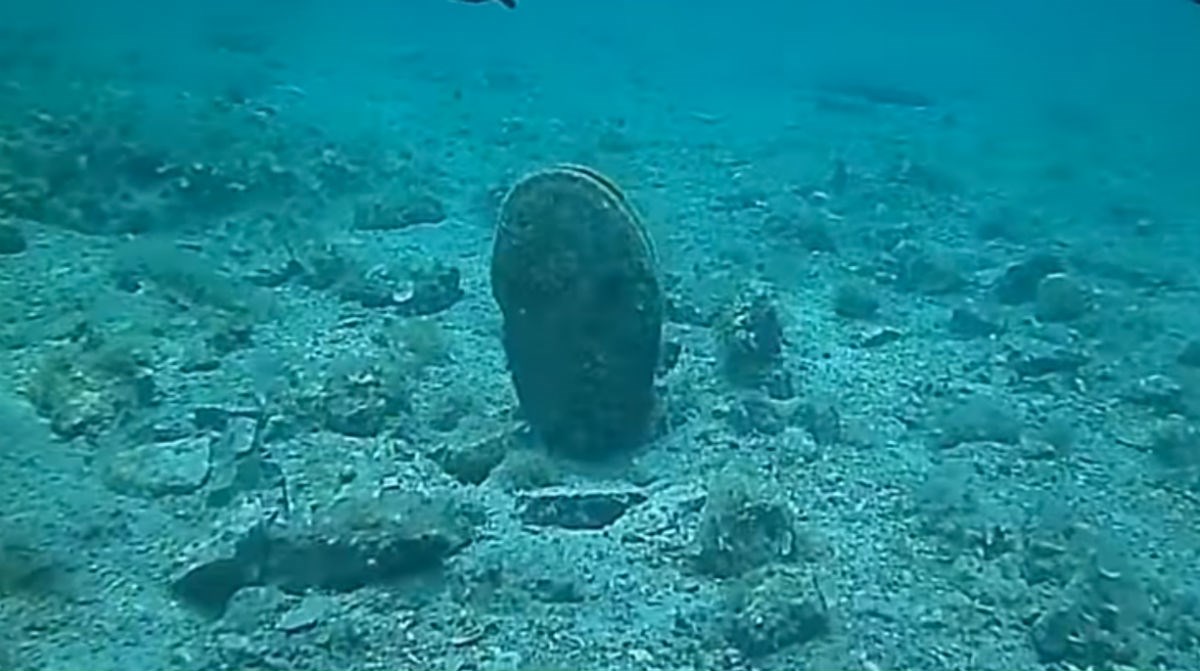 Društvo istraživača mora zabilježilo prvi masovni pomor periske u Jadranu