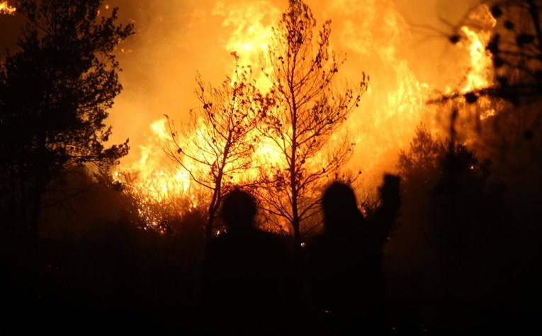 U požaru kod Muća izgorjelo oko 150 hektara borovine