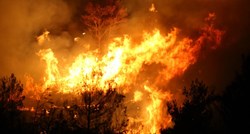 58-godišnjak zapalio šumu kod Đakova, priveden je
