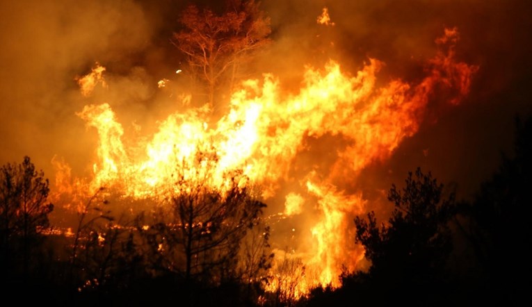 58-godišnjak zapalio šumu kod Đakova, priveden je