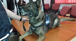 Pas As pronašao bačvu droge u Vukovaru