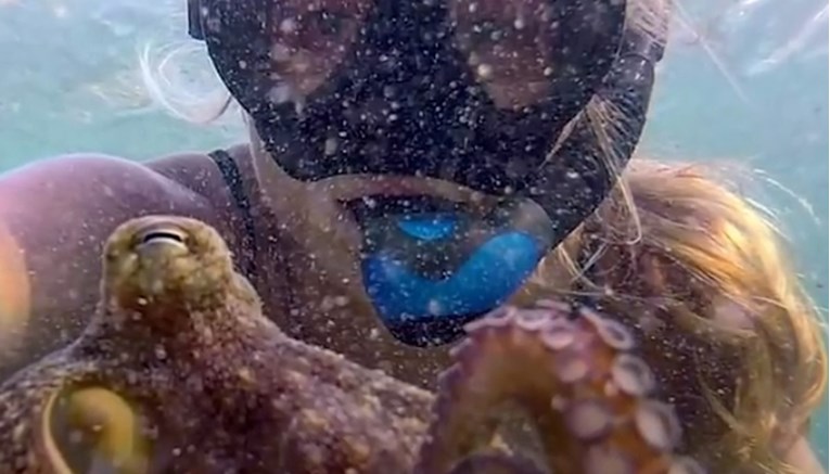Nevjerojatno prijateljstvo između žene i hobotnice oduševilo je svijet