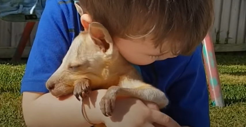 Dječak i maleni klokan postali su najbolji prijatelji i pomogli jedno drugome