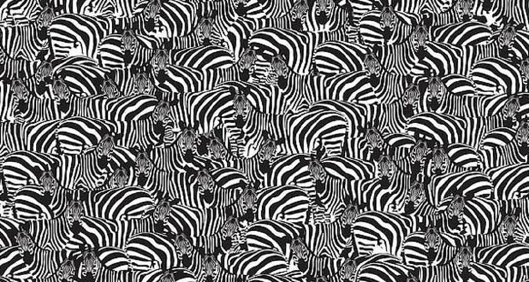 Rekord je 58 sekundi: Možete li pronaći klavijature među zebrama i srušiti ga?