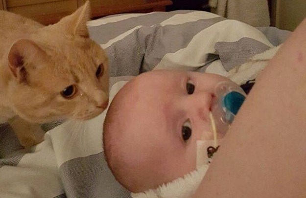 Maca od rođenja pazi na bebu: Pomogla joj izliječiti bolesno srce!