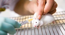 Europarlamentarci traže zabranu testiranja kozmetičkih proizvoda na životinjama izvan EU-a