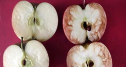 Učiteljica otkrila moćnu poruku s ove dvije jabuke te postala pravi viralni hit