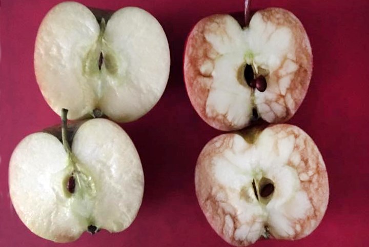 Učiteljica otkrila moćnu poruku s ove dvije jabuke te postala pravi viralni hit