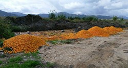 FOTO Fejsom se širi fotografija planina bačenih mandarina kod Opuzena, građani zgroženi